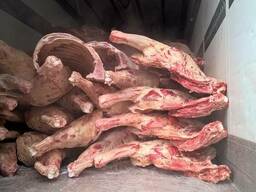 Опт Говядина мясо в полутушах в Казахстане, Узбекистан, Халяль