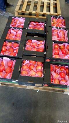 Гранат в Казахстан