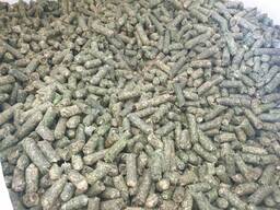 Гранулы из сена люцерны.