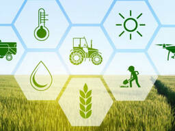 Гречка, Ржаная мука обдирная, Пшеница 3 кл, Ячмень, Кислое масло (СЖК)