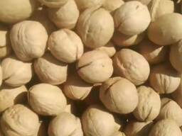 Грецкие орехи