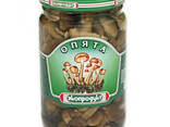 Грибы маринованные - photo 1
