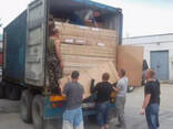 Грузоперевозки по регионам РК, экспорт и импорт - photo 2