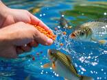Haida Fishery - фото 3