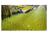 High Quality Organic Refined Sunflower Oil 100% Pure - photo 1