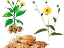 Инсулин Топинамбур Инулин (порошок)