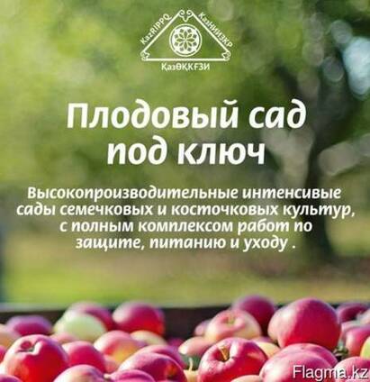 Интенсивные сады под ключ
