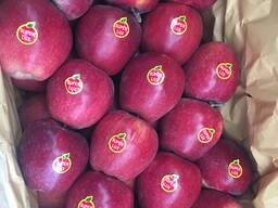 Иранские Яблоки