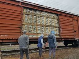 Ищу портнеров по поставке мука, зерно, ячмень, отруби