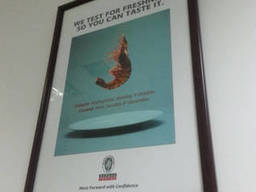 Изготовление картин по индивидуальному заказу