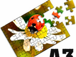 Изготовление пазлов А3