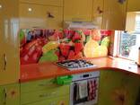 Изготовление скинали стеклянные фартуки для кухни на заказ - photo 2