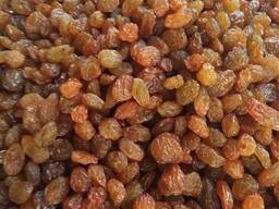 Изюм коричневый Обжуш отборный 1 сорт