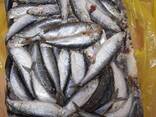 Качественная рыба оптом от 100 кг - photo 2