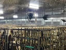 Камера для сушки рыбы (5 т за 5 дней) Проектирование, расчет, монтаж и обслуживание