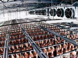 Холодильные камеры