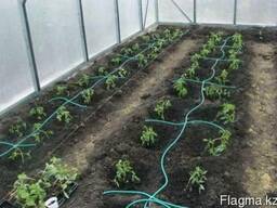 Капельный полив