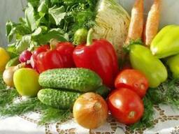 Капельный полив овощных культур, лук, картофель под ключ.