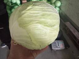Капуста БК