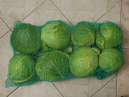 Капуста ранняя