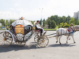 Карета в алматы - photo 3