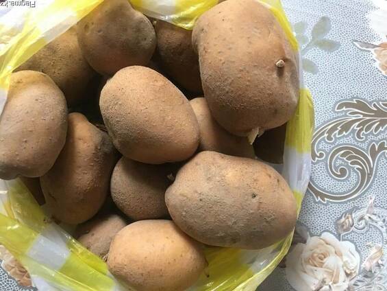 Картофель