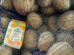 Картофель продовольственный урожай 2021 года.