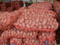 Картофель оптом Радриго и Гала