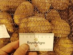 Картофель продовольственный, 70.000т