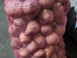 Картофель сорт гала оптом от 10 тонн