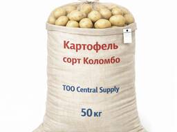 Картофель сорт Коломбо