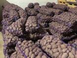 Картофель свежий - photo 2