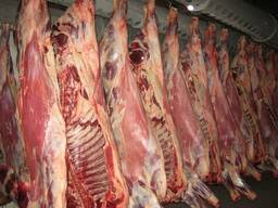 Казахстанское мясо для экспорта в Китай