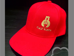 Кепки с вышивкой логотипа, от 10 единиц