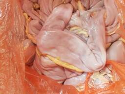 Кишки черева конская