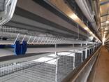 Клеточное Оборудование для Кур-Несушек - фото 1