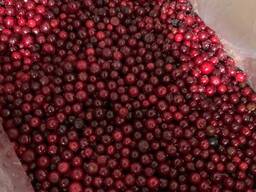 Клюква свежемороженная