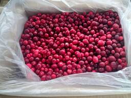 Клюква замороженная, Республика Беларусь