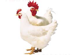 Комбикорм для бройлеров