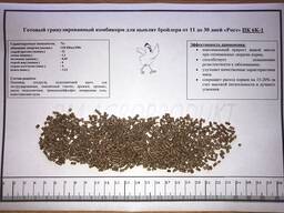 Комбикорм для бройлеров "Рост" 10-24 дней