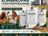 Комбикорм для откорма КРС от завода производителя - фото 4