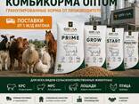 Комбикорм гранулированный для откорма КРС от завода производителя - фото 1