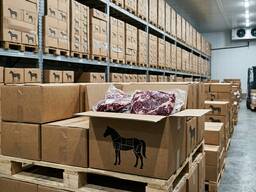 Конина передняя часть Аргентина/Уругвай