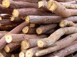 КОРЕНЬ СОЛОДКИ