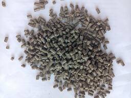 Корм для рыб