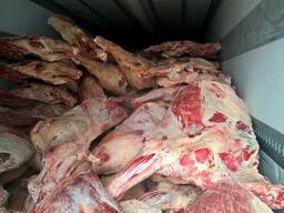 Корова, бык свежемороженные охлажденные, Казахстан, Узбекистан, Халяль