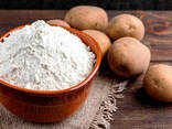 Крахмал картофельный. *Модифицированные крахмалы. *Окислённые пищевые крахмалы. - фото 1