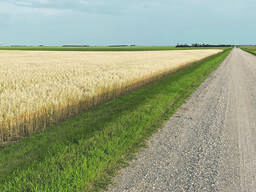 Крестьянское хозяйство, ферма (Караганда)