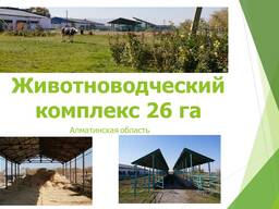 Крестьянское хозяйство, Откорм площадка на 3000 голов