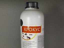 Крокус